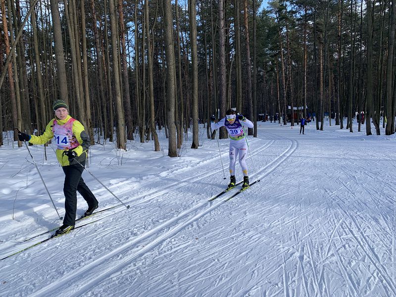 Волкуша лыжероллерная трасса вид 6.  