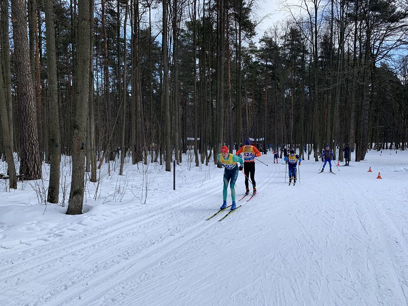Волкуша лыжероллерная трасса вид 5.  