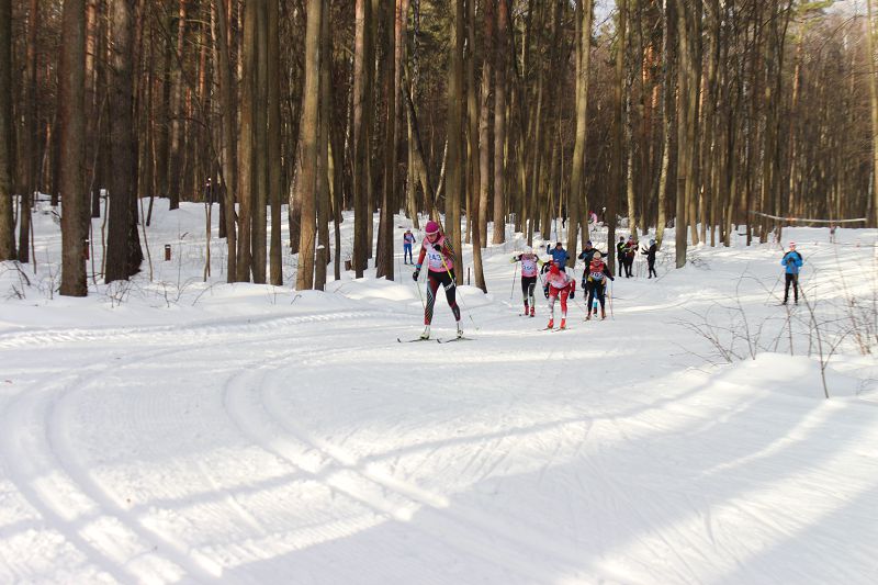 Волкуша лыжероллерная трасса вид 3.  