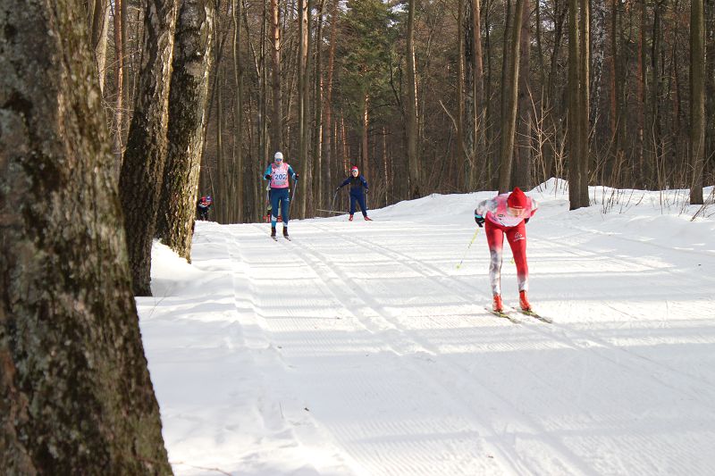 Волкуша лыжероллерная трасса вид 7.  