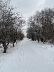 aleshkino_3. 