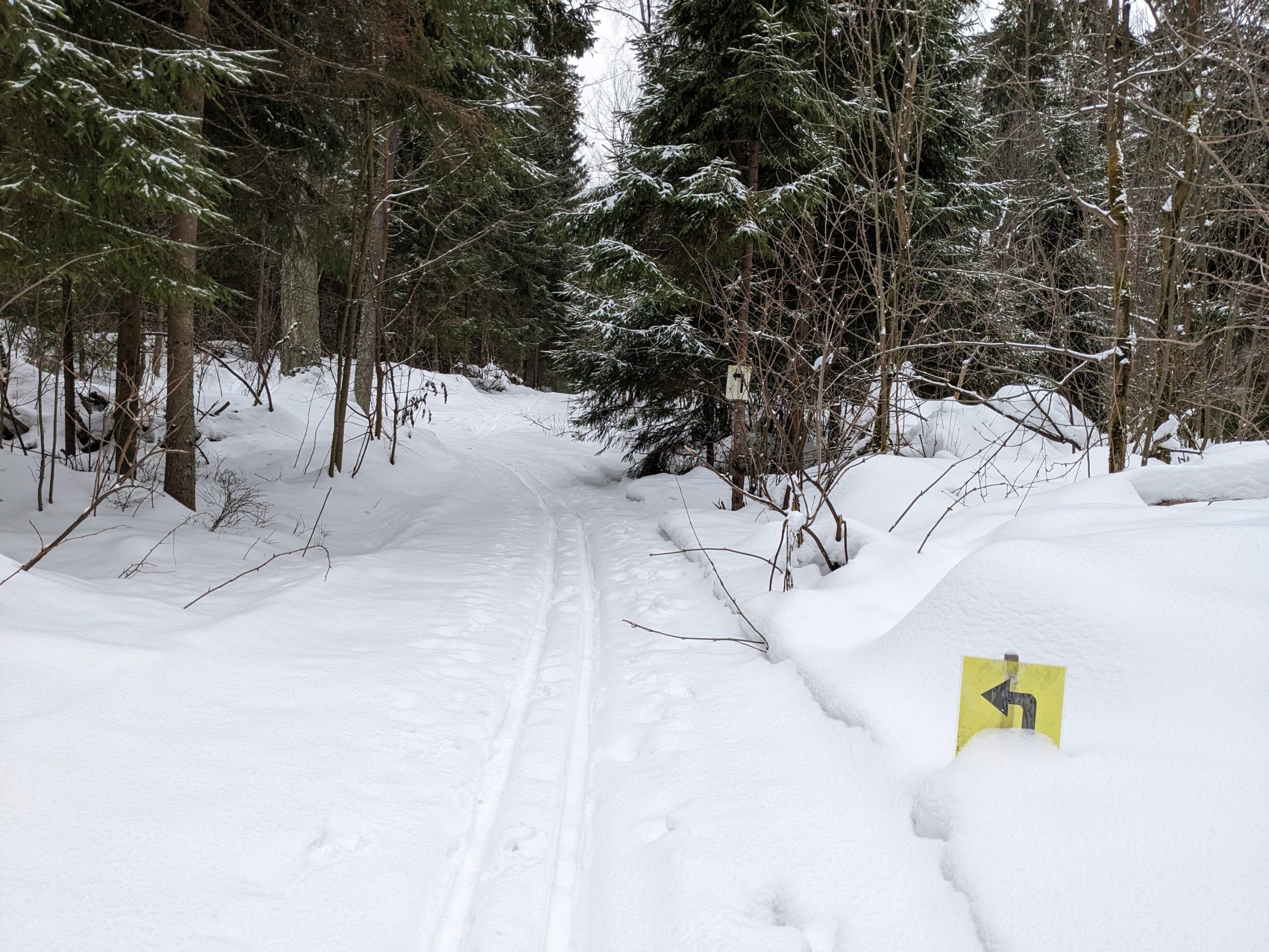 Макарово лыжная трасса вид 2.  