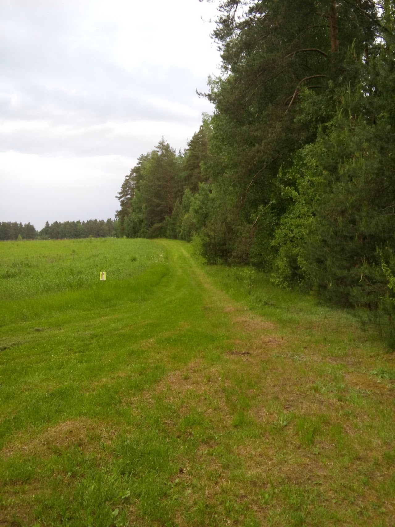 Макарово лыжная трасса вид 21.  