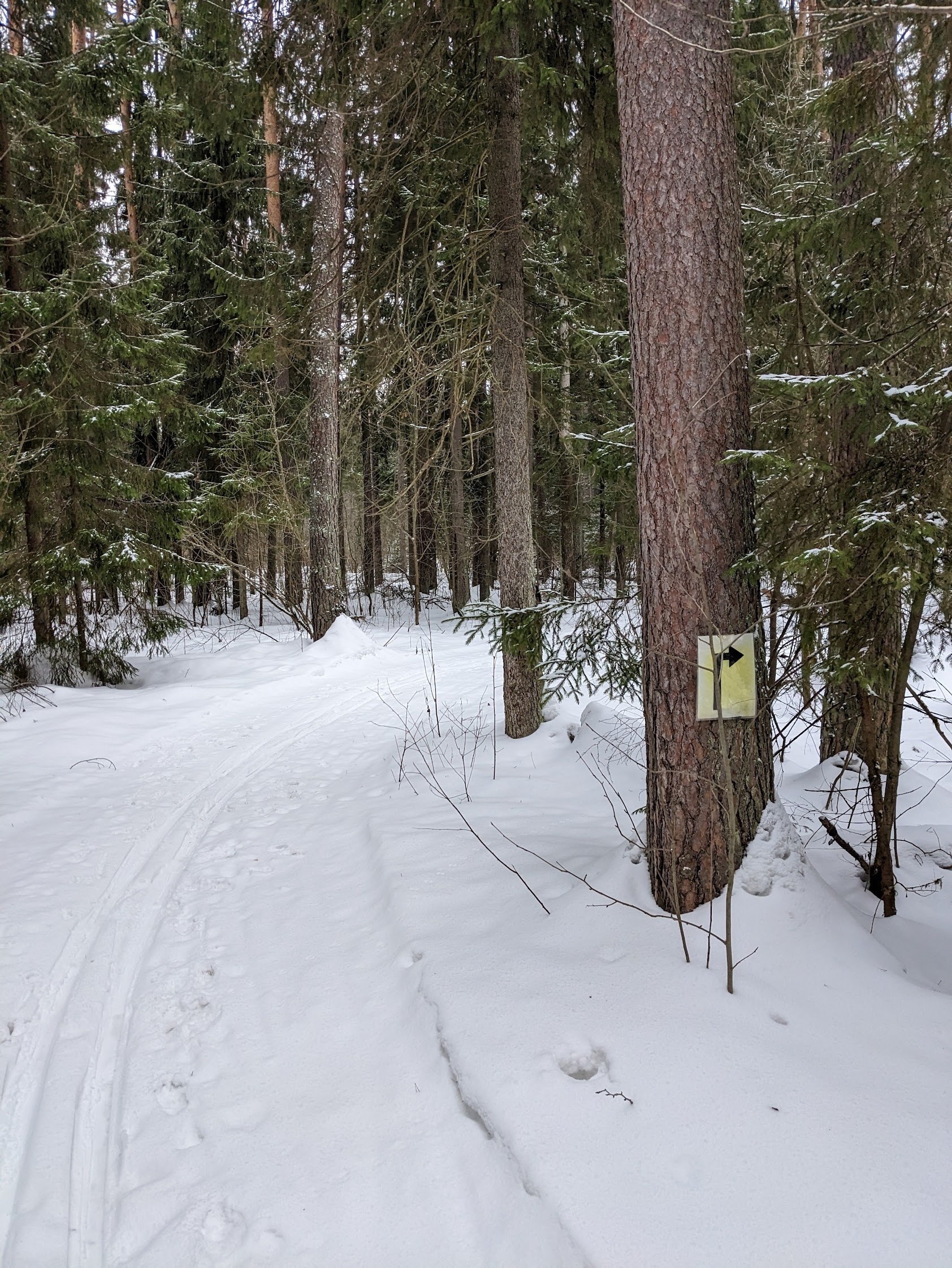 Макарово лыжная трасса вид 3.  