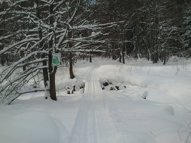 Макарово лыжная трасса вид 5.  