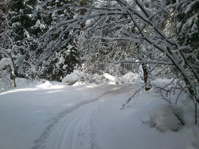 Макарово лыжная трасса вид 6.  