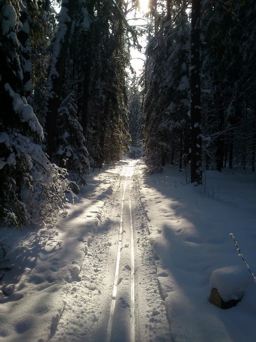 Макарово лыжная трасса вид 7.  