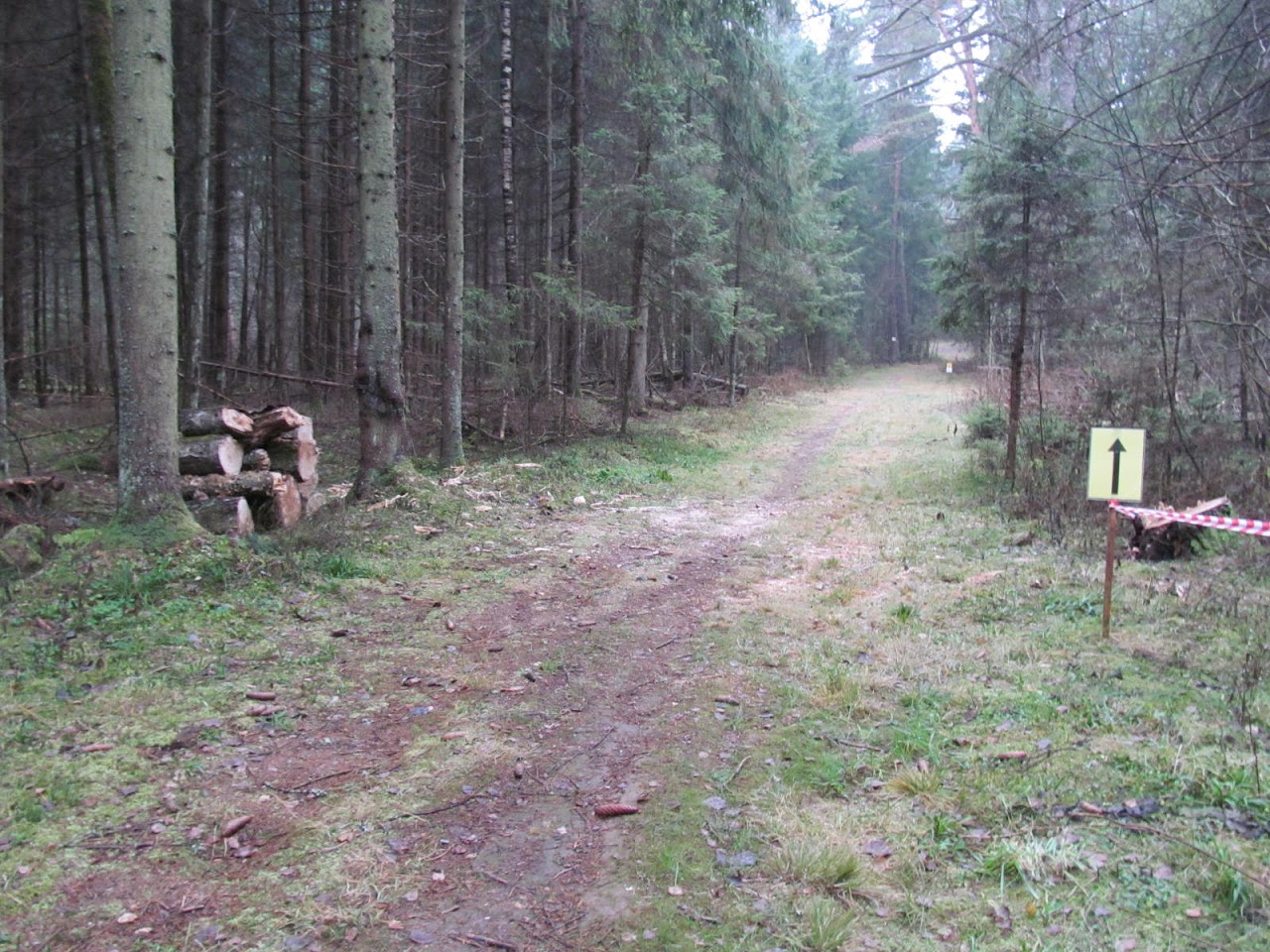 Макарово лыжная трасса вид 20.  