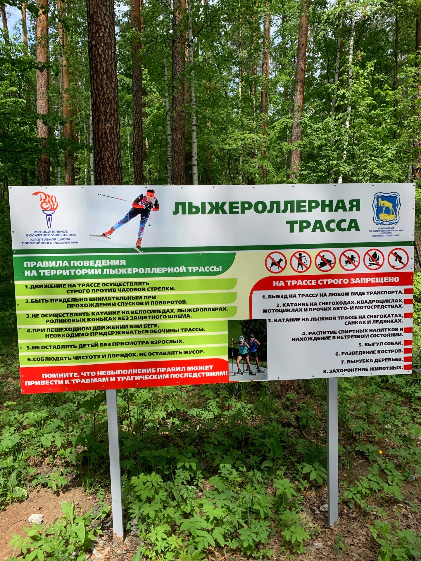 Лыже-роллерная трасса им.Забелина лыжероллерная трасса вид 5.  