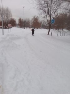 Трасса лыжероллерная Марьино, состояние на 11 декабря 2023 по отзыву, фото 5. 