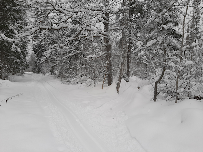 Зеленоград Голубое лыжная трасса вид 1.  