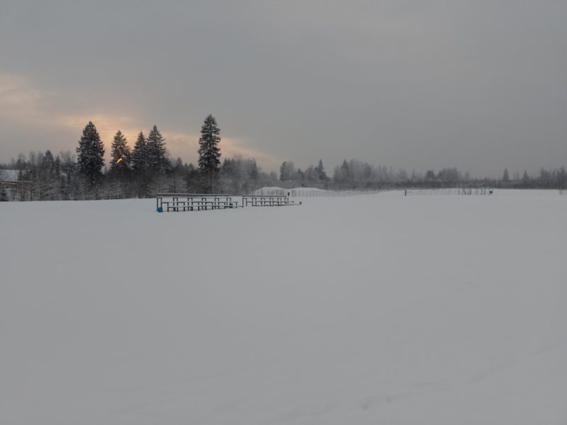 Трасса лыжная Тучково, состояние на 6 января 2024 по отзыву, фото 7. 
