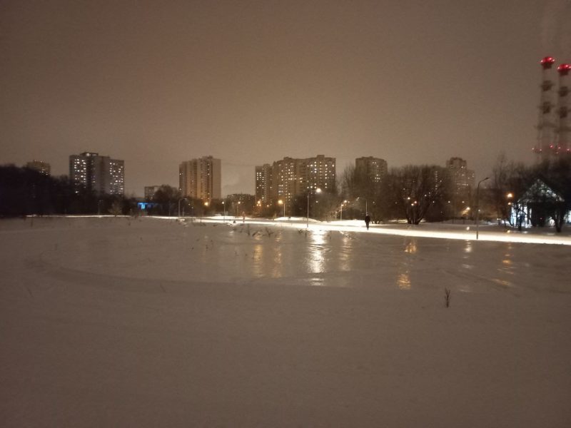 Трасса лыжероллерная Алешкино, состояние на 13 февраля 2024 по отзыву, фото 3. 