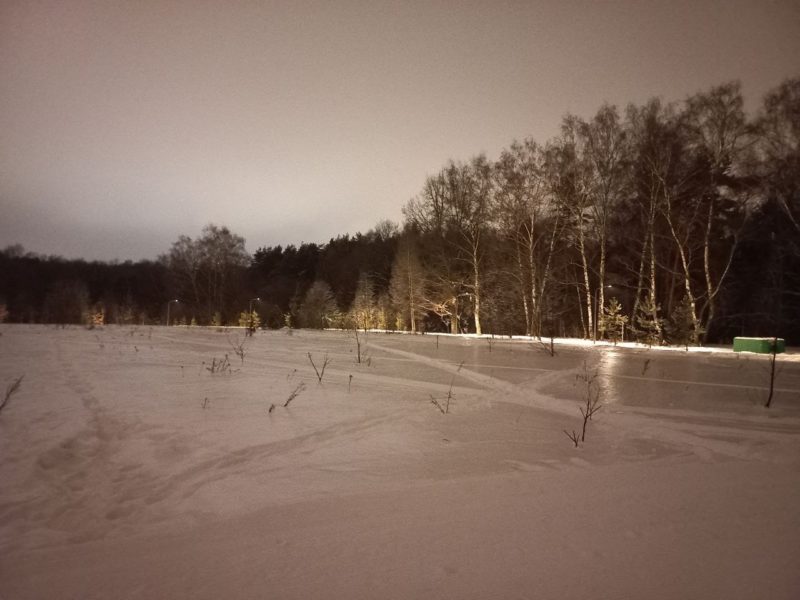 Трасса лыжероллерная Алешкино, состояние на 13 февраля 2024 по отзыву, фото 4. 