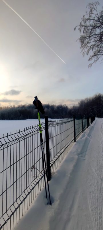 Трасса лыжероллерная Головино, состояние на 14 февраля 2024 по отзыву, фото 4. 