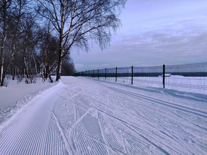 Трасса лыжероллерная Головино, состояние на 14 февраля 2024 по отзыву, фото 16. 