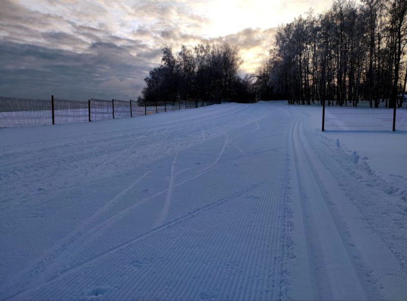 Трасса лыжероллерная Головино, состояние на 14 февраля 2024 по отзыву, фото 14. 
