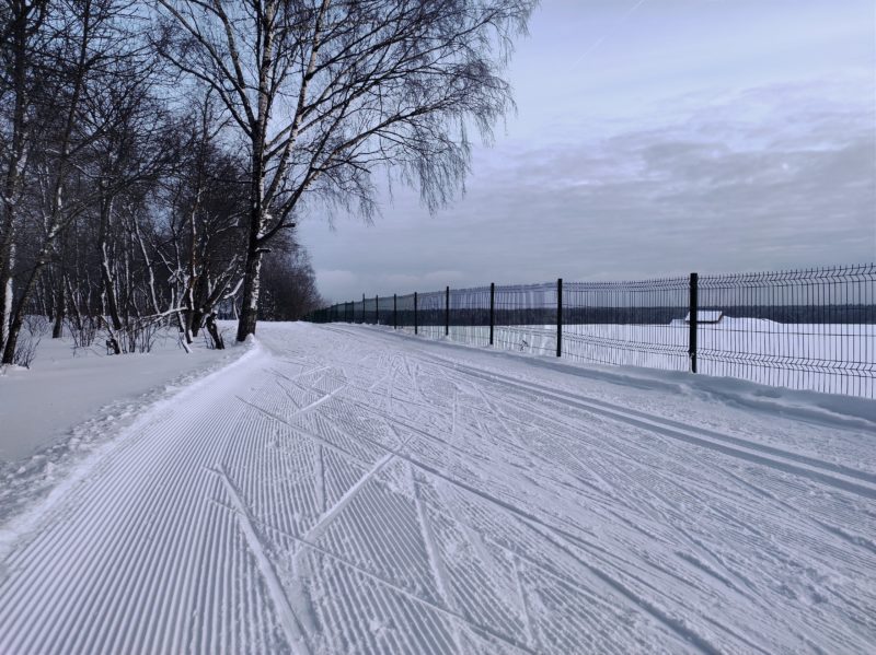 Трасса лыжероллерная Головино, состояние на 14 февраля 2024 по отзыву, фото 20. 