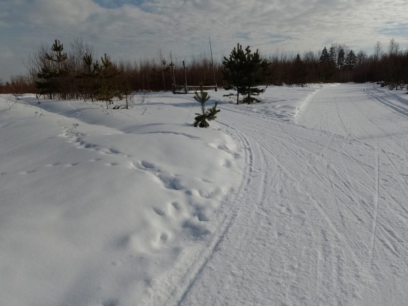 Трасса лыжная Тучково, состояние на 27 февраля 2024 по отзыву, фото 2. 