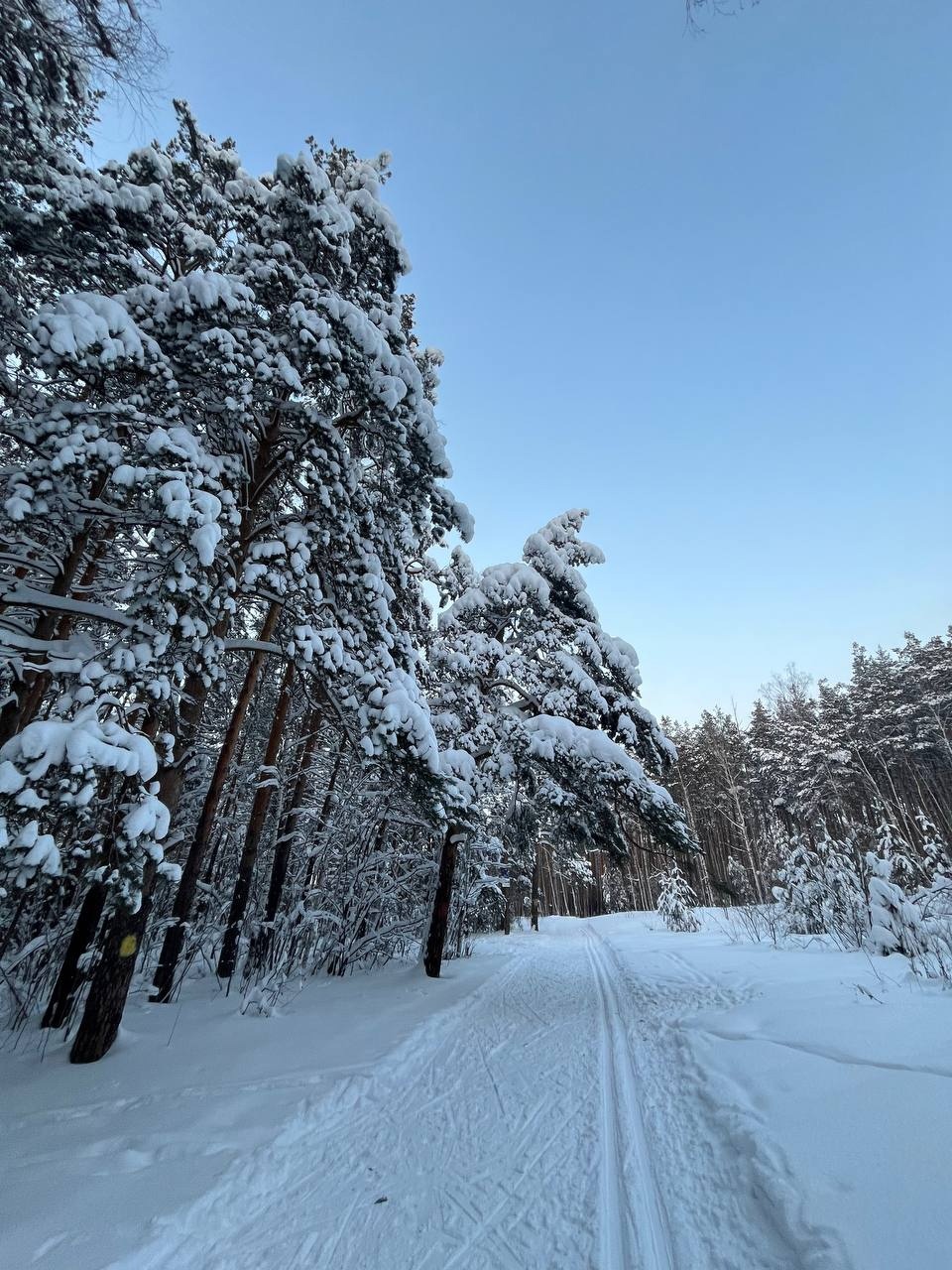 Калининец лыжная трасса вид 1.  