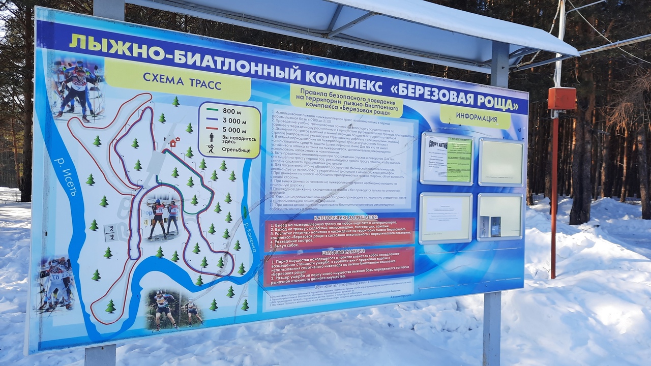 Березовая роща лыжная трасса вид 2.  