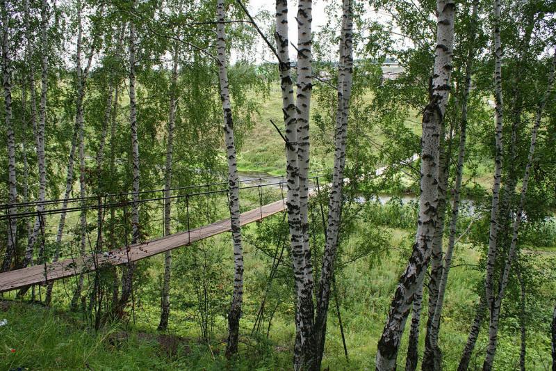 Березовая роща лыжная трасса вид 10.  
