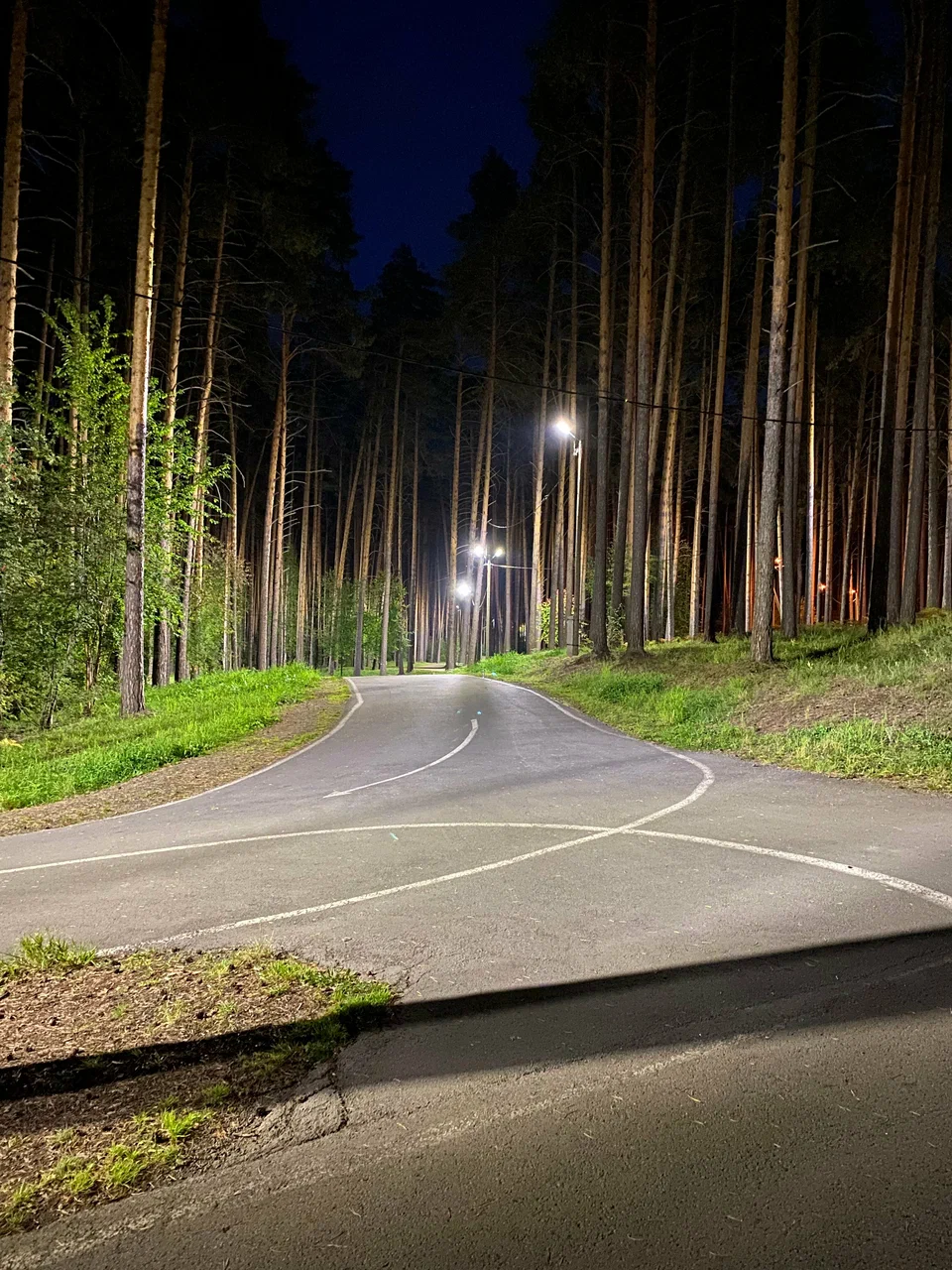 Зарница лыжероллерная трасса вид 1.  