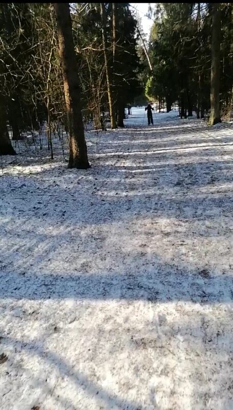 Трасса лыжероллерная Планерная, состояние на 30 марта 2024 по отзыву, фото 2. 