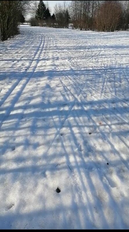 Трасса лыжероллерная Планерная, состояние на 30 марта 2024 по отзыву, фото 1. 