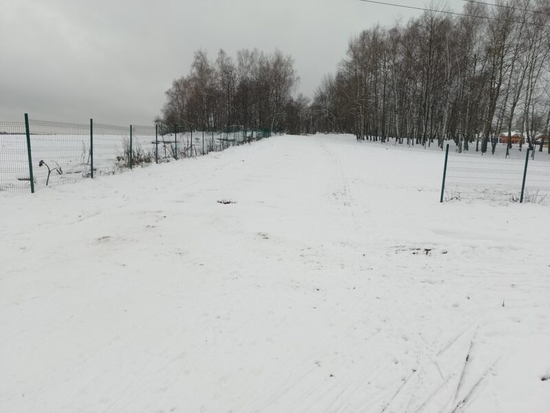 Трасса лыжероллерная Головино, состояние на 30 ноября 2024 по отзыву, фото 5. В сторону равнинного круга у верхней базы