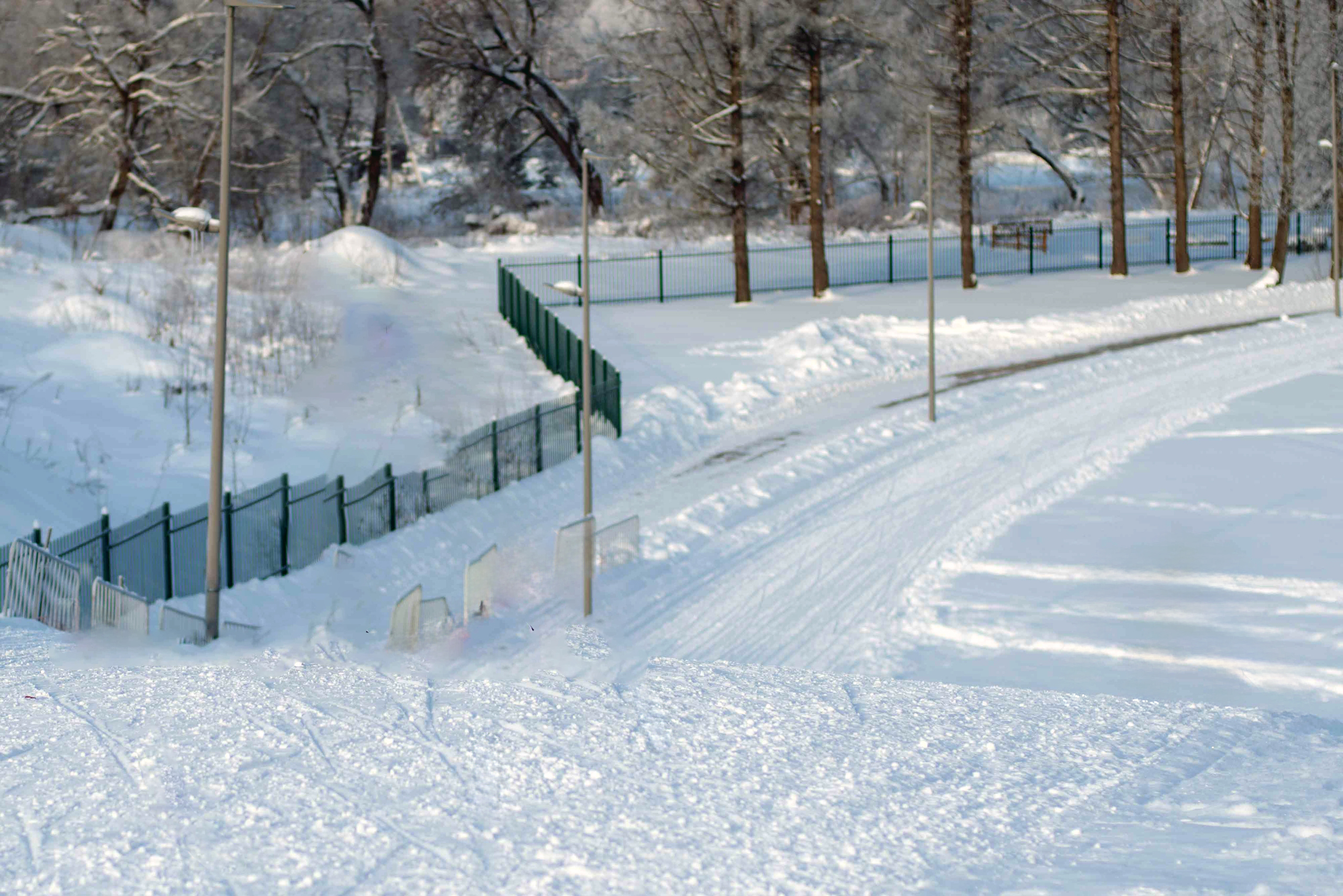 Можайск лыжероллерная трасса вид 1.  