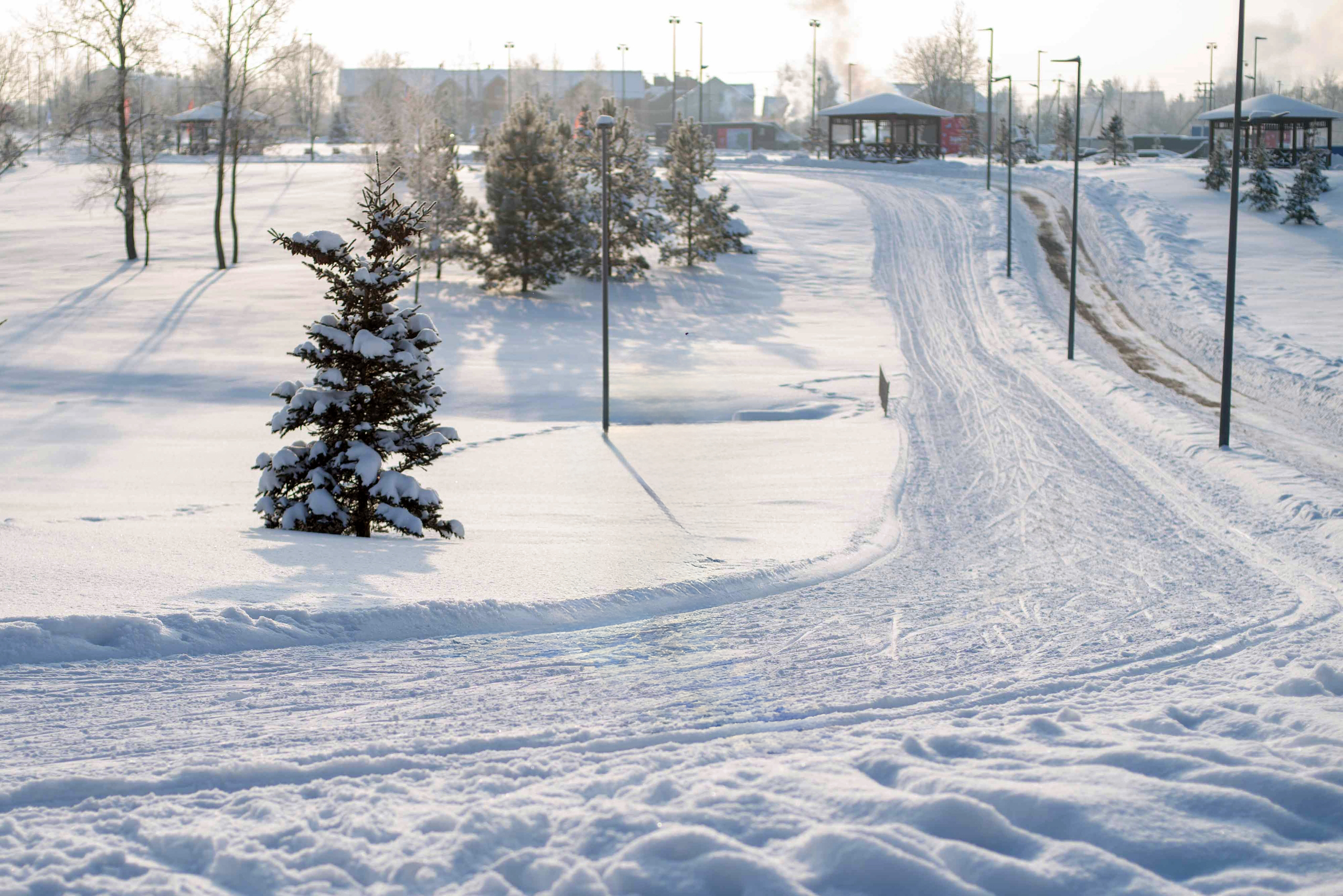 Можайск лыжероллерная трасса вид 2.  