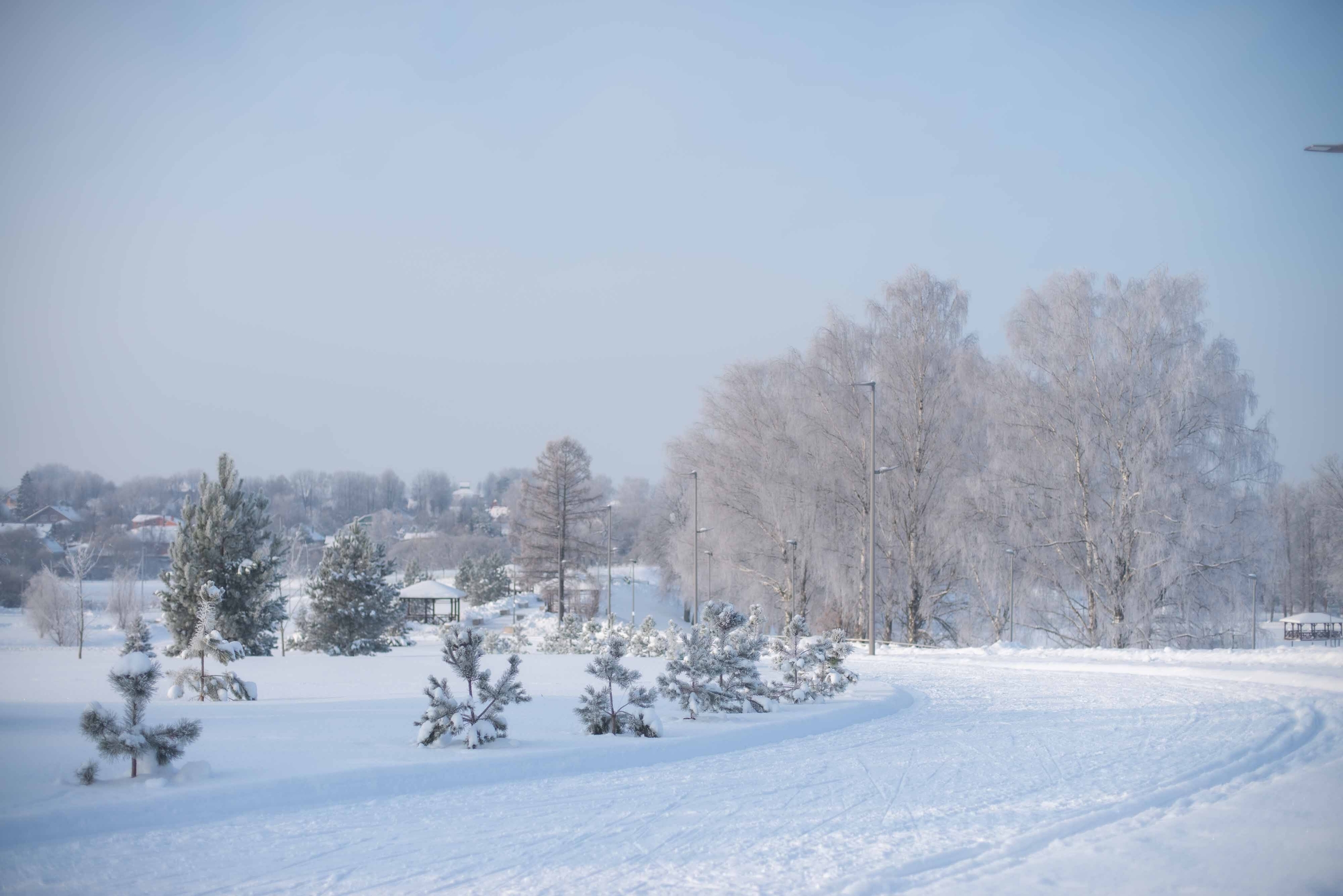 Можайск лыжероллерная трасса вид 3.  