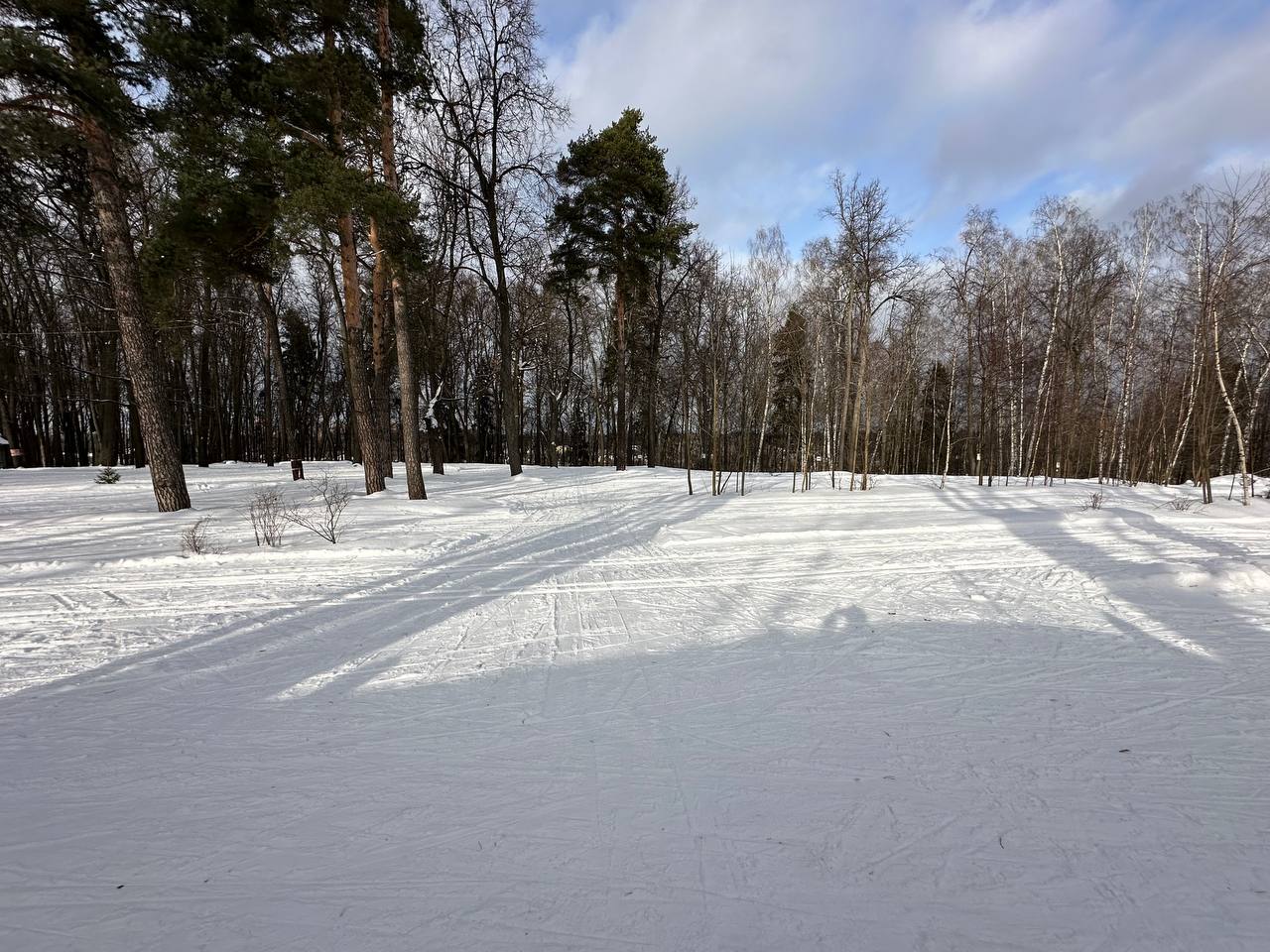 Королев лыжная трасса вид 1.  