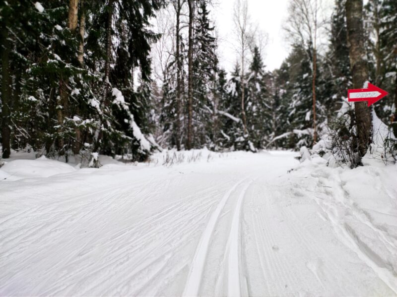 Трасса лыжная ГАБО, состояние на 19 декабря 2024 по отзыву, фото 2. 