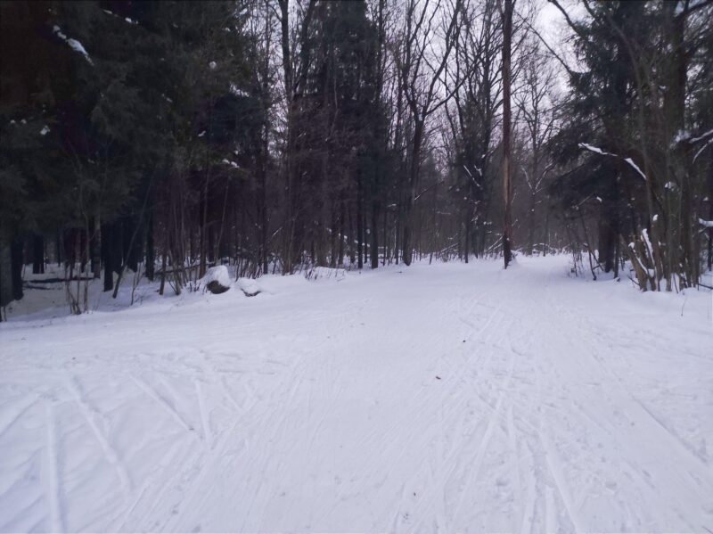 Трасса лыжная Красногорск, состояние на 20 декабря 2024 по отзыву, фото 3. 