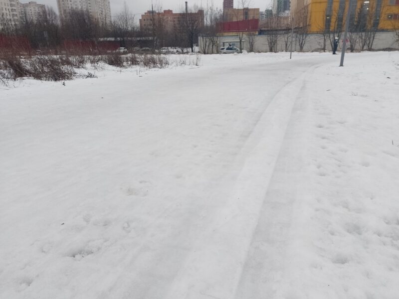 Трасса лыжероллерная Алешкино, состояние на 8 января 2025 по отзыву, фото 1. 