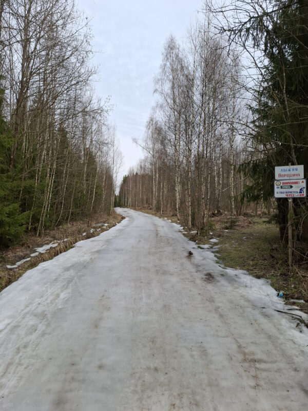 Трасса лыжная ГАБО, состояние на 11 марта 2025 по отзыву, фото 2. 