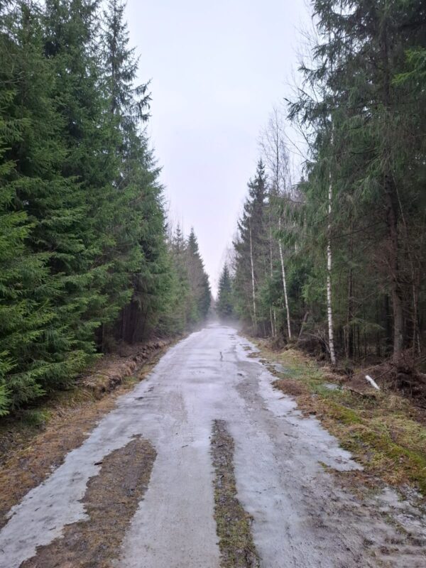 Трасса лыжная ГАБО, состояние на 12 марта 2025 по отзыву, фото 12. 