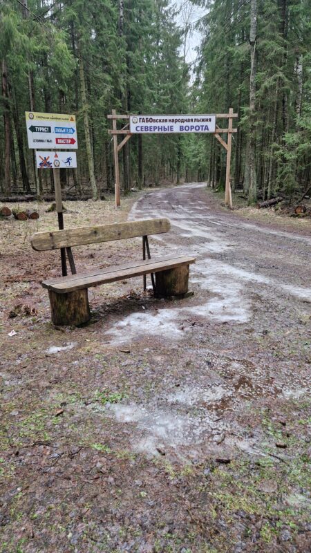 Трасса лыжная ГАБО, состояние на 15 марта 2025 по отзыву, фото 11. 