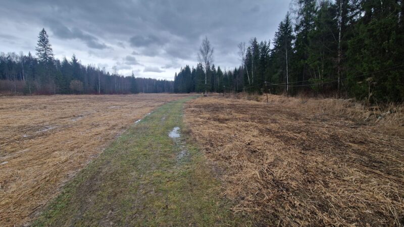 Трасса лыжная ГАБО, состояние на 15 марта 2025 по отзыву, фото 6. 