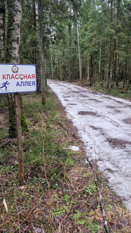 Трасса лыжная ГАБО, состояние на 15 марта 2025 по отзыву, фото 10. 