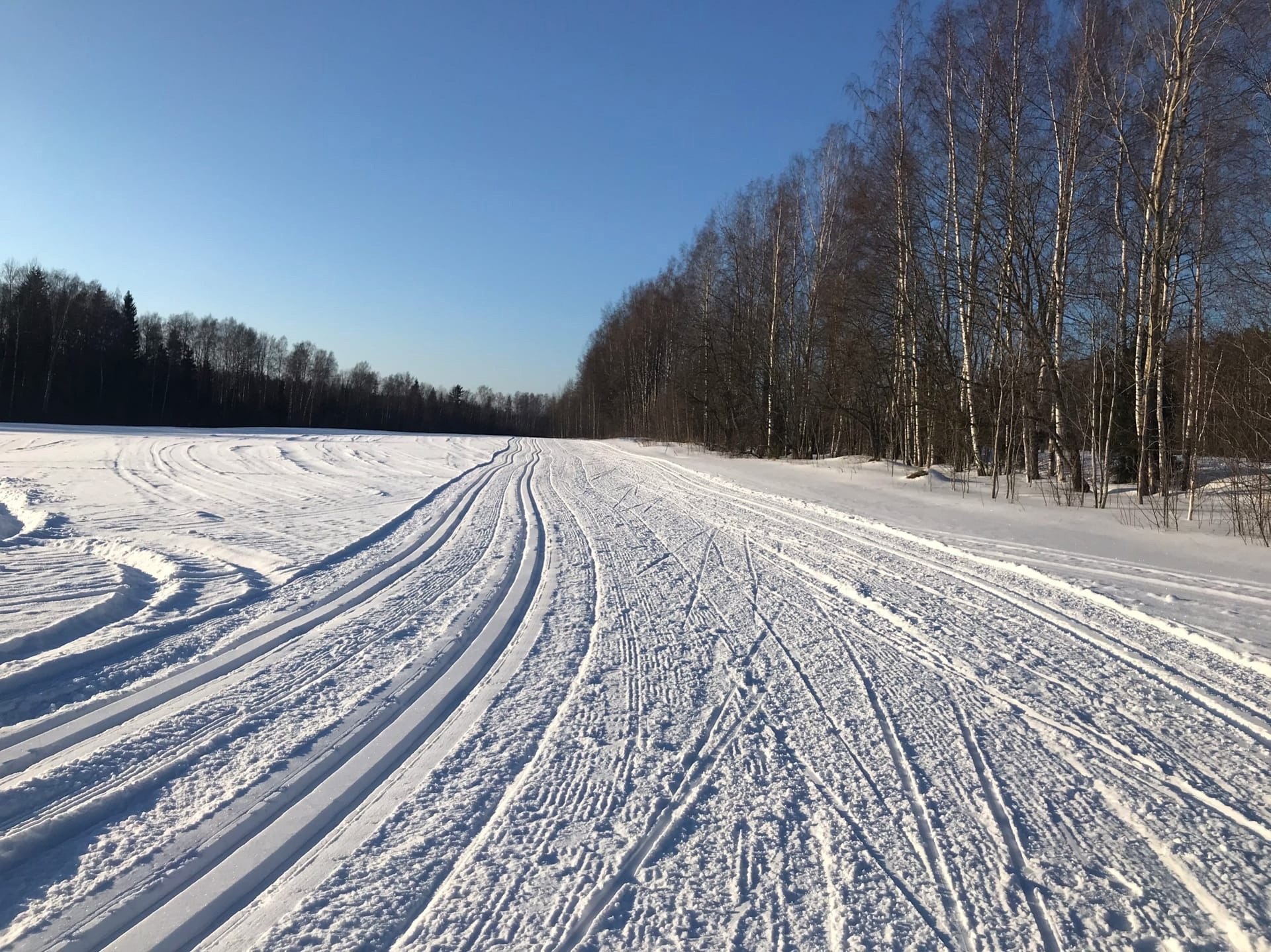 Сертолово лыжная трасса вид 1.  