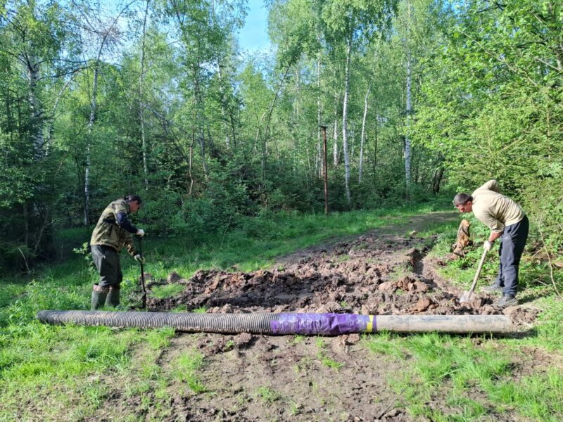 Трасса лыжная ГАБО, состояние на 27 мая 2025 по отзыву, фото 5. 