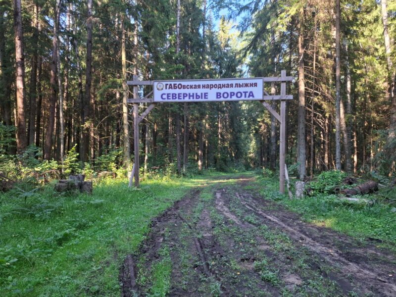 Трасса лыжная ГАБО, состояние на 25 июля 2025 по отзыву, фото 12. 