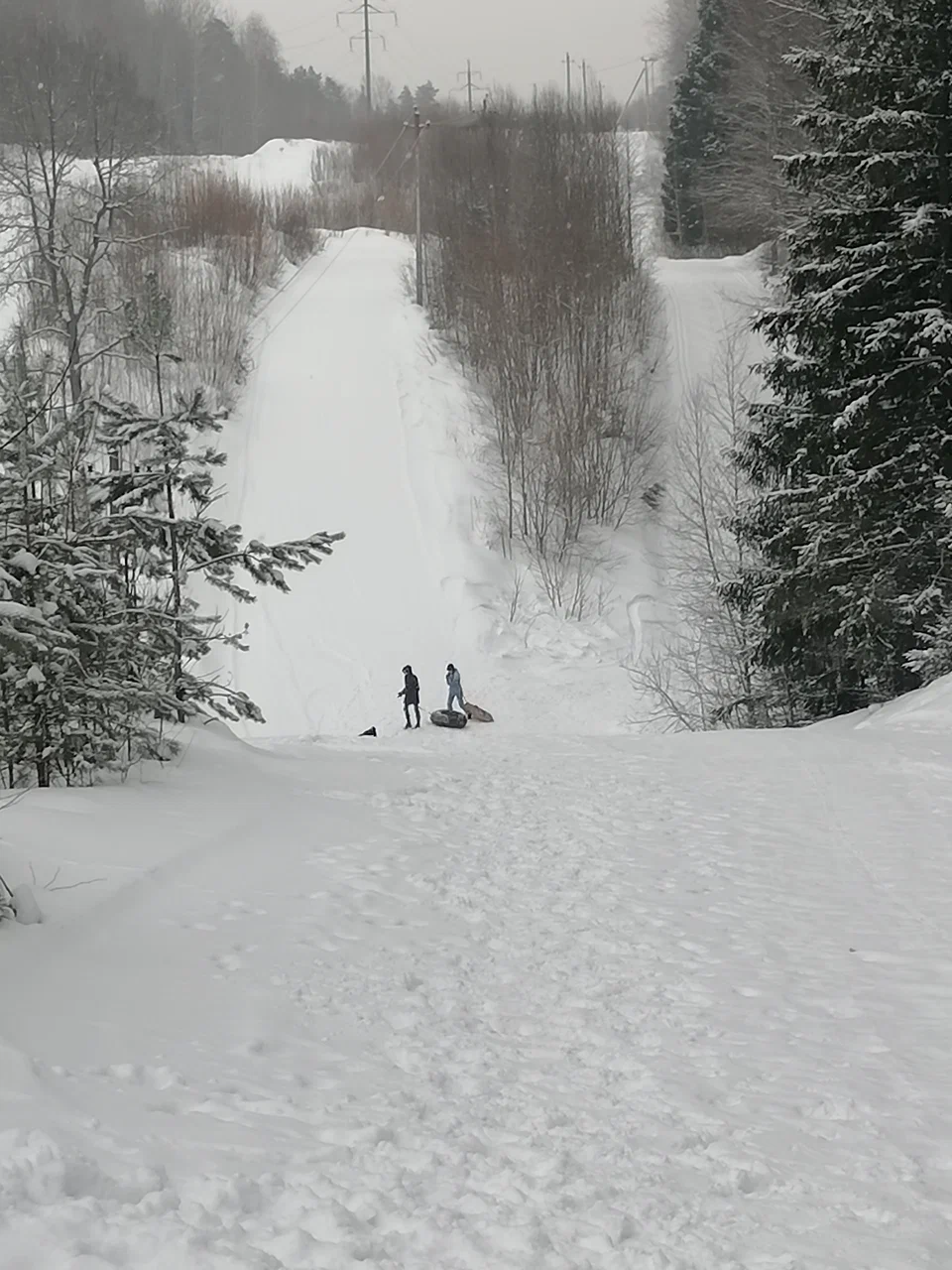Сенчитский бор лыжная трасса вид 1.  