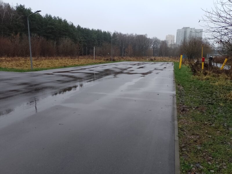 Трасса лыжероллерная Алешкино, состояние на 28 ноября 2025 по отзыву, фото 2. 
