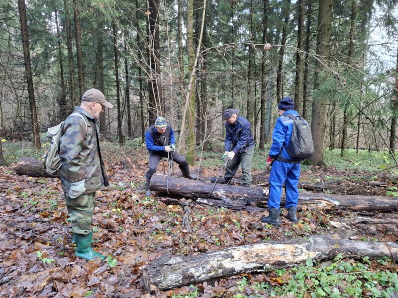 Трасса лыжная Красногорск, состояние на 2 ноября 2025 по отзыву, фото 4. 