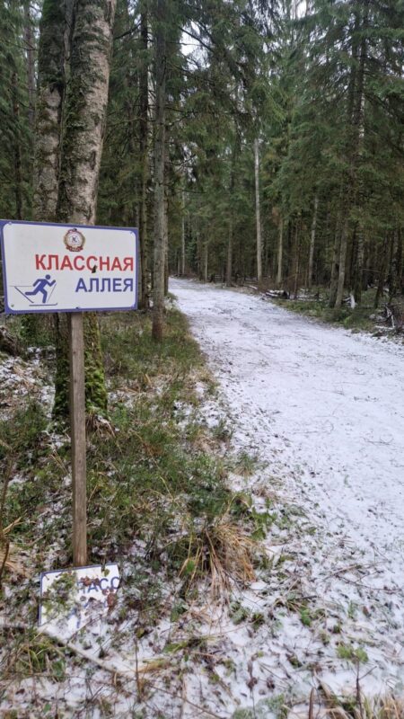 Трасса лыжная ГАБО, состояние на 20 декабря 2025 по отзыву, фото 3. 