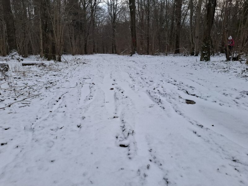 Трасса лыжная Красногорск, состояние на 13 декабря 2025 по отзыву, фото 2. 